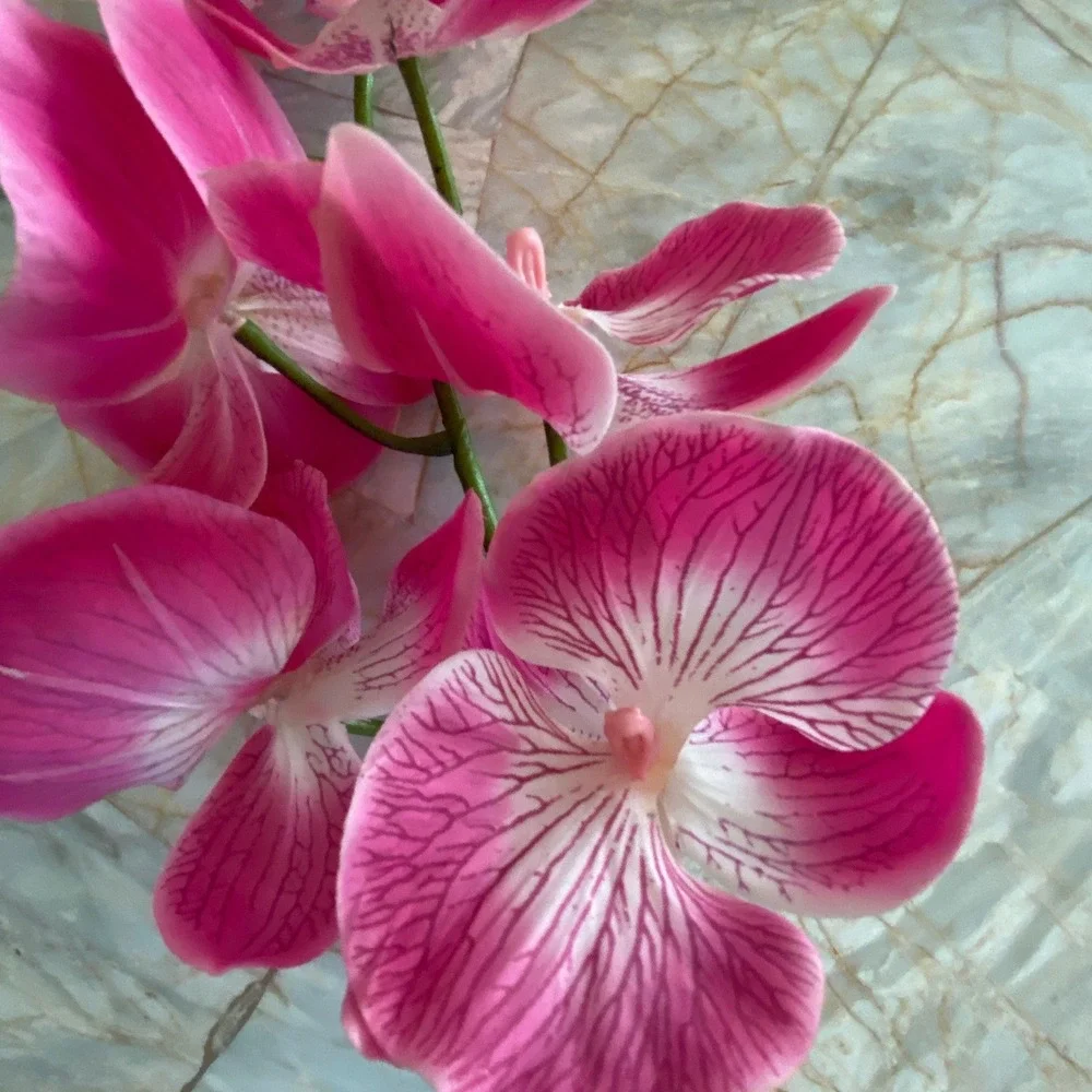 Fuchsia Pink Artificial Orchid Stem Realistic Silk Phalaenopsis Floral Decor